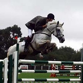 The Oitavos offers Horse Riding packages